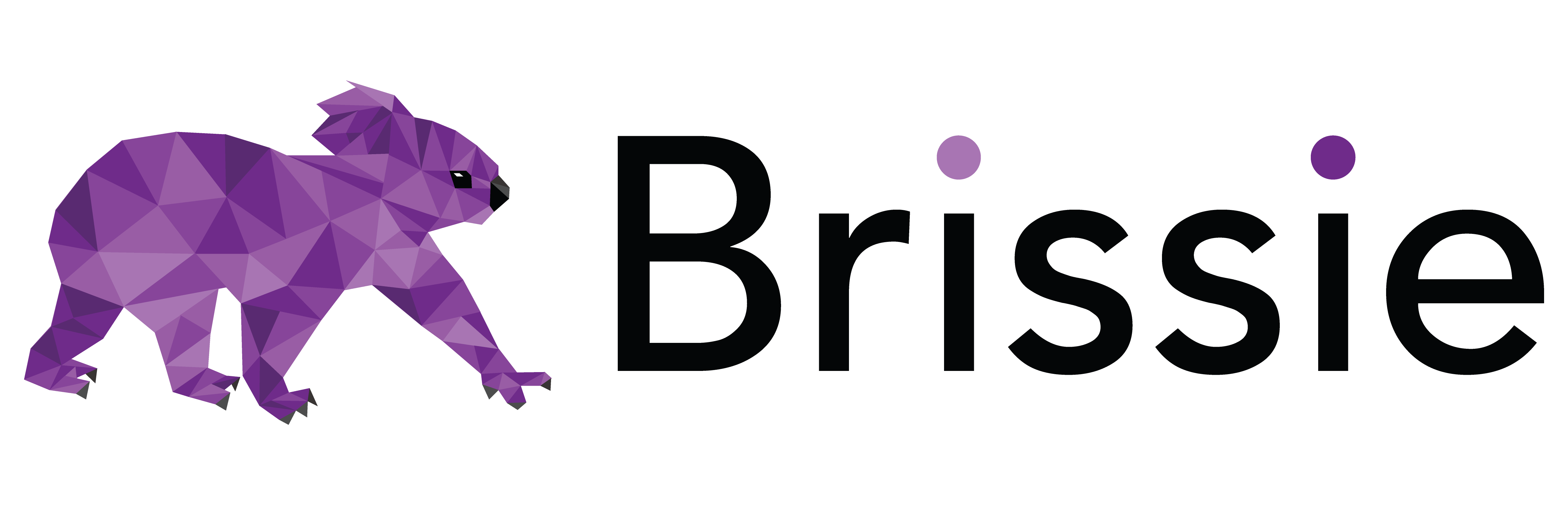 brizzie logo